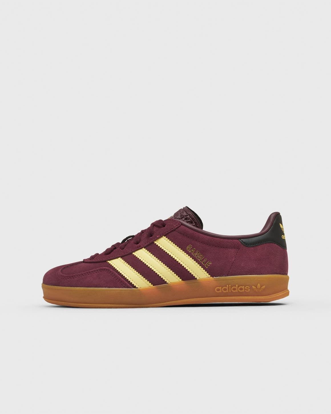GAZELLE INDOOR