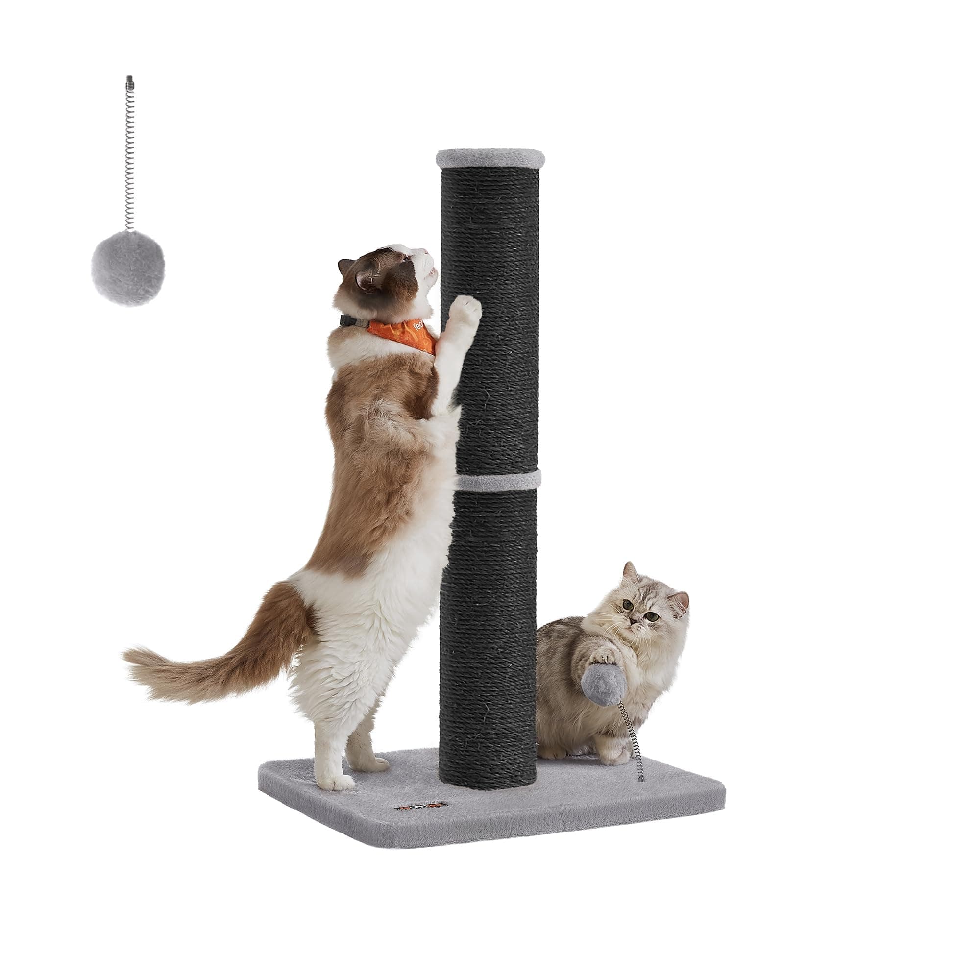 Feandrea Kratzbaum, 85 cm hoch, Kratzsäule XL, 13 cm Dicker Stamm, Katzenbaum, Kratzstamm für mittelgroße und große Katzen, Sisalstamm, mit Plüschball und Glocke, tintenschwarz PCA041B01