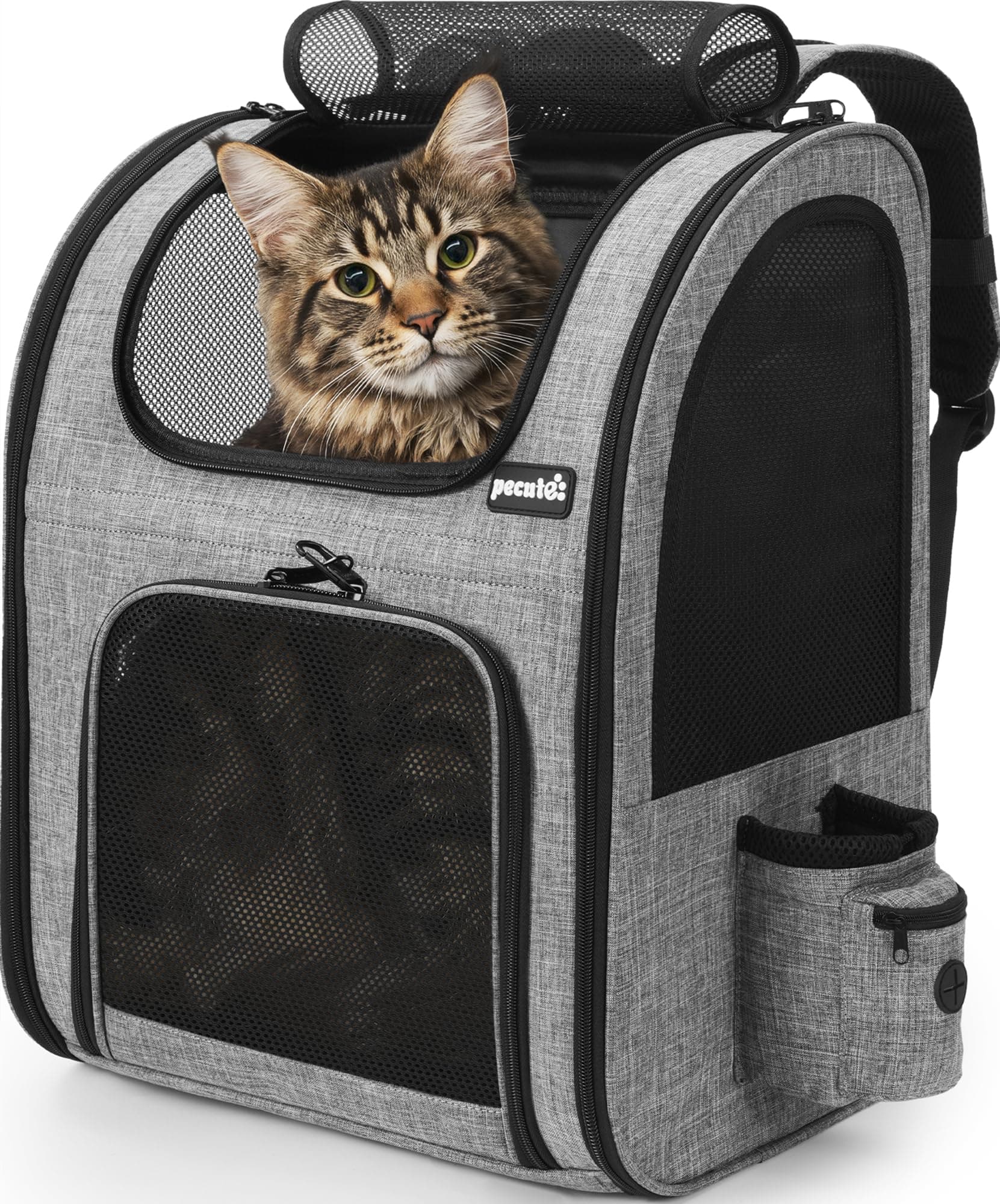 Pecute Mochila Gato XL ＞6kg-＜8kg portátil y Ligera para Mascotas de con Ventana de Malla, Transportin Gato Plegable y Transpirable para Mascotas, Tejido Oxford Impermeable con Gran Espacio