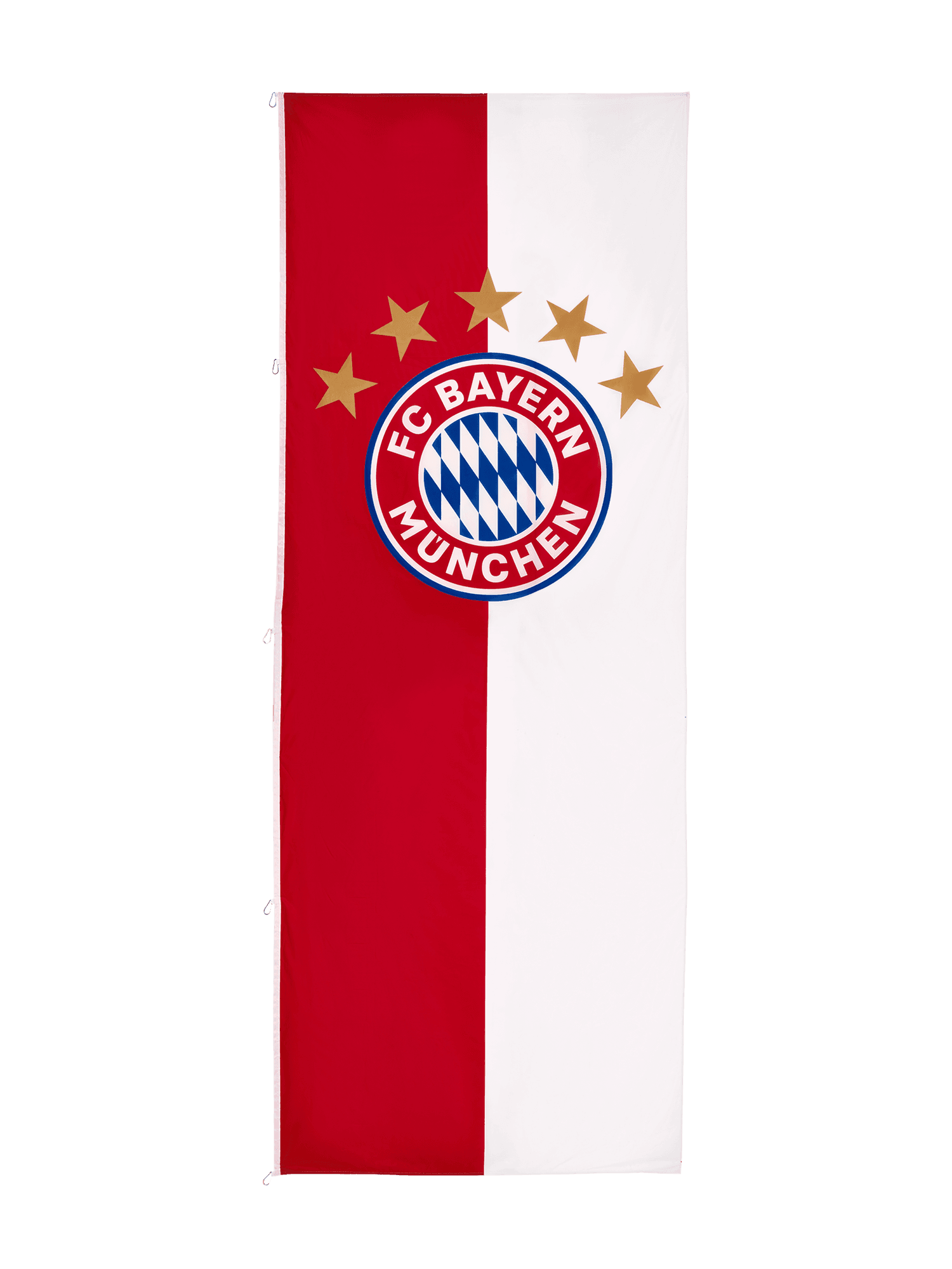 Hissfahne Hochformat Logo 400x150 cm