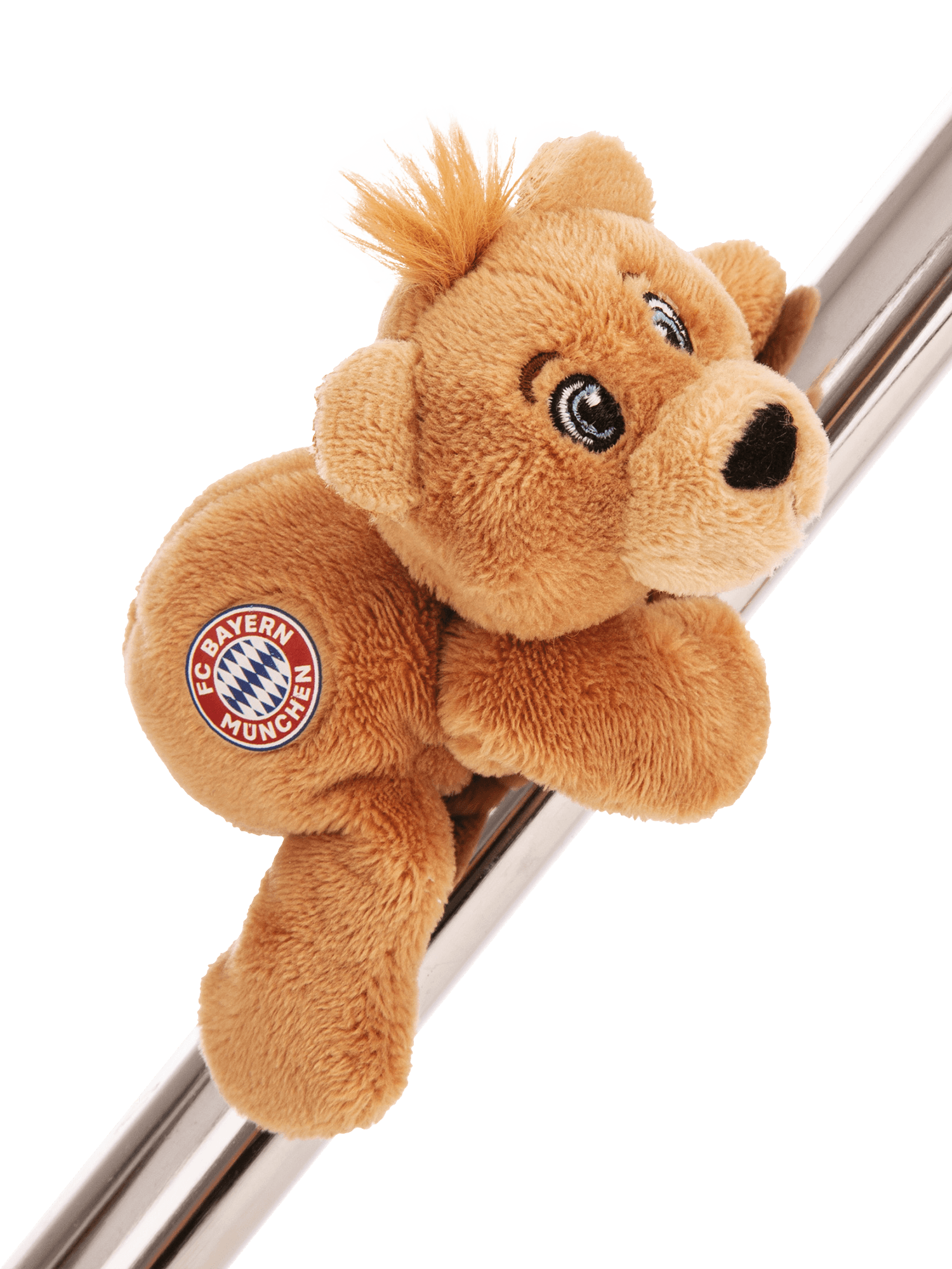 Magnet Berni