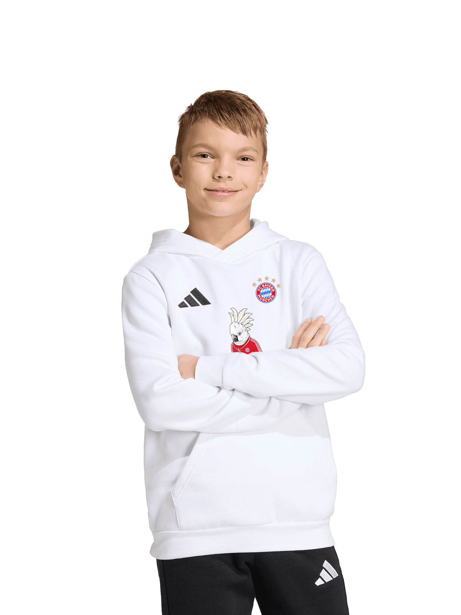 Hoodie Meister 2026