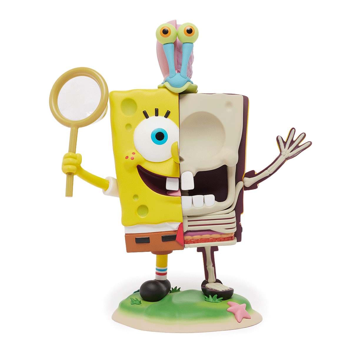XXRay Plus Spongebob Squarepants