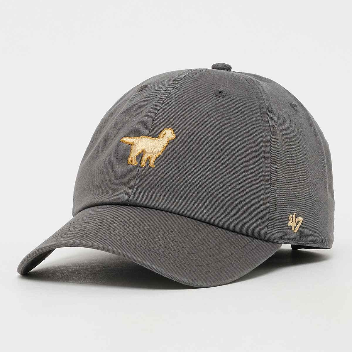 Dog Base Runner Icon Clean Up