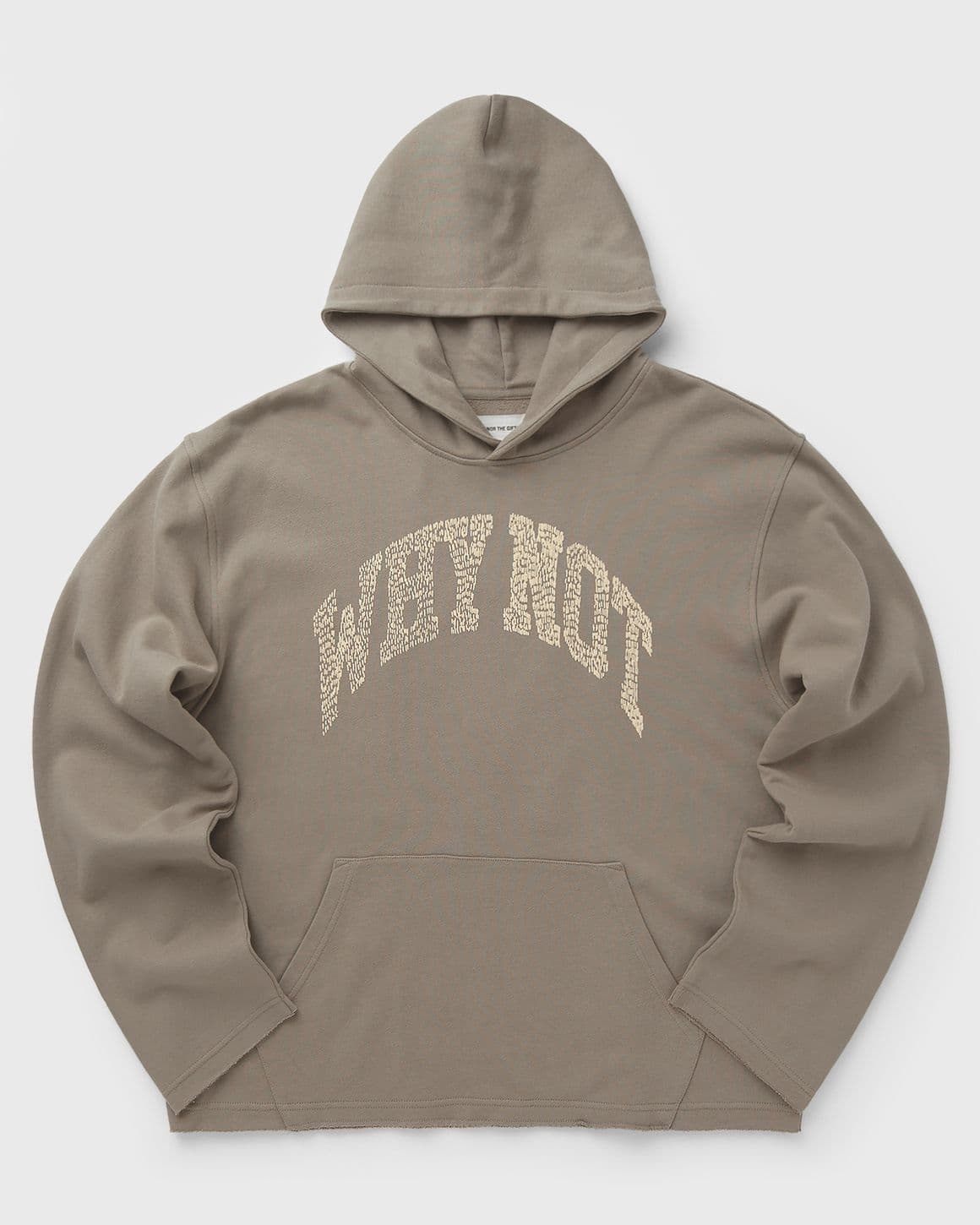 WHY NOT HOODIE